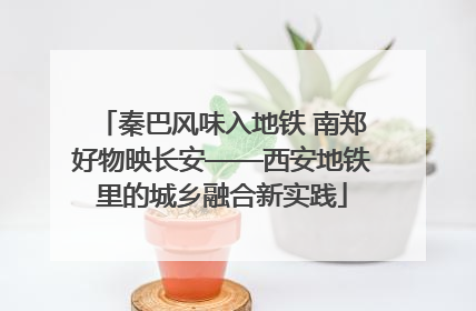 秦巴风味入地铁 南郑好物映长安——西安地铁里的城乡融合新实践