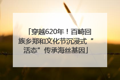穿越620年！百崎回族乡郑和文化节沉浸式“活态”传承海丝基因