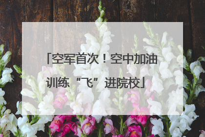 空军首次！空中加油训练“飞”进院校