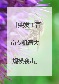 突发！普京专机遭大规模袭击