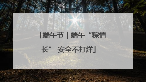 端午节｜端午“粽情长” 安全不打烊