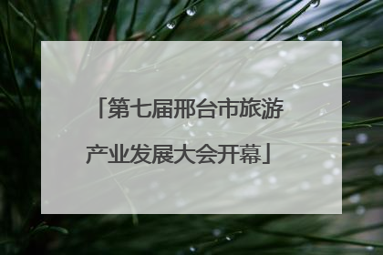 第七届邢台市旅游产业发展大会开幕