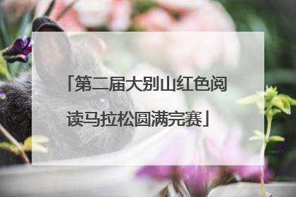 第二届大别山红色阅读马拉松圆满完赛