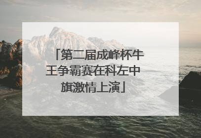 第二届成峰杯牛王争霸赛在科左中旗激情上演