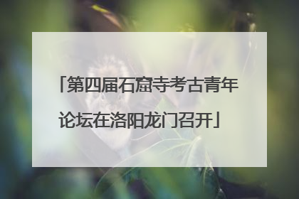 第四届石窟寺考古青年论坛在洛阳龙门召开