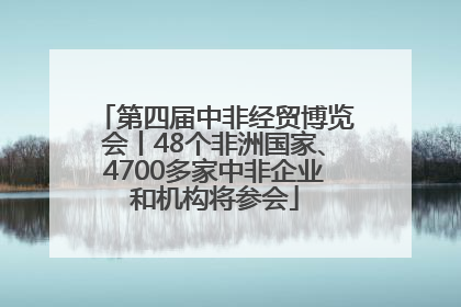 第四届中非经贸博览会丨48个非洲国家、4700多家中非企业和机构将参会