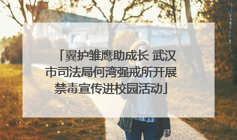 翼护雏鹰助成长 武汉市司法局何湾强戒所开展禁毒宣传进校园活动