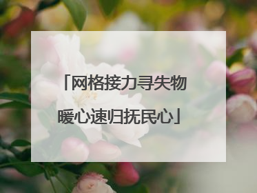 网格接力寻失物 暖心速归抚民心