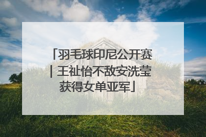 羽毛球印尼公开赛｜王祉怡不敌安洗莹 获得女单亚军