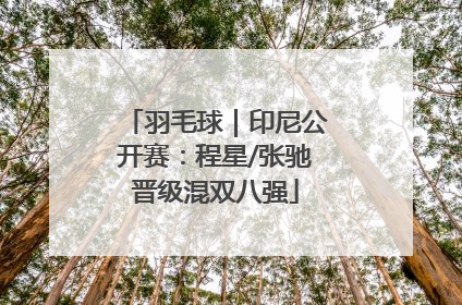 羽毛球｜印尼公开赛：程星/张驰晋级混双八强
