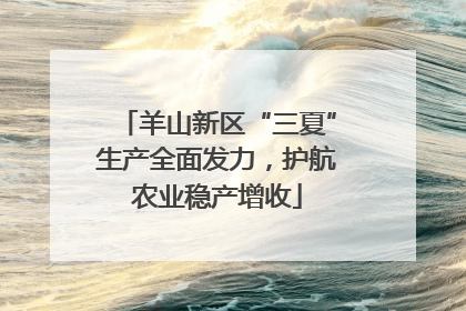 羊山新区“三夏”生产全面发力，护航农业稳产增收