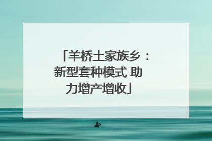 羊桥土家族乡：新型套种模式 助力增产增收