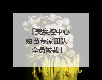美疾控中心疫苗专家团队全员被裁