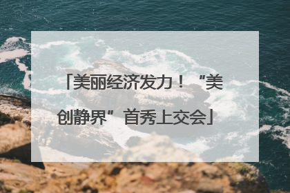 美丽经济发力！“美创静界”首秀上交会