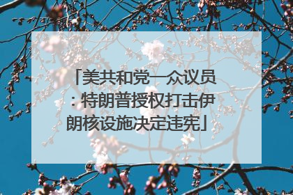 美共和党一众议员：特朗普授权打击伊朗核设施决定违宪