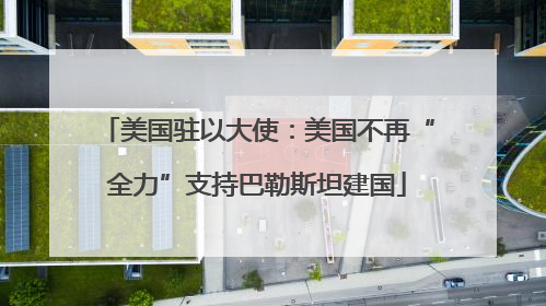 美国驻以大使：美国不再“全力”支持巴勒斯坦建国