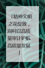 精神文明之花绽放，周村以高质量审计护航高质量发展