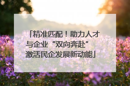 精准匹配！助力人才与企业“双向奔赴” 激活民企发展新动能