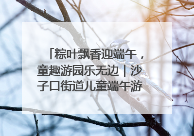 粽叶飘香迎端午，童趣游园乐无边｜沙子口街道儿童端午游园活动圆满落幕