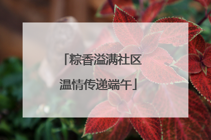 粽香溢满社区 温情传递端午