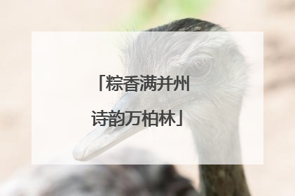 粽香满并州 诗韵万柏林