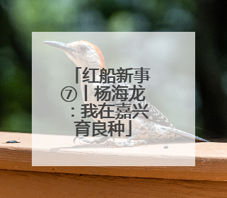 红船新事⑦丨杨海龙：我在嘉兴育良种