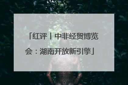 红评丨中非经贸博览会：湖南开放新引擎