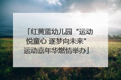 红黄蓝幼儿园“运动悦童心 逐梦向未来”运动嘉年华燃情举办