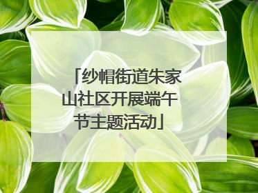 纱帽街道朱家山社区开展端午节主题活动