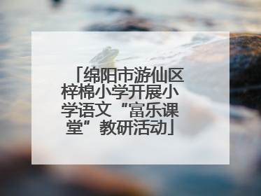 绵阳市游仙区梓棉小学开展小学语文“富乐课堂”教研活动