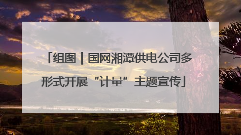 组图｜国网湘潭供电公司多形式开展“计量”主题宣传