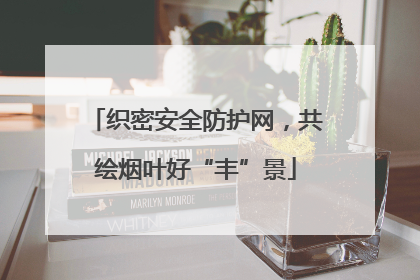 织密安全防护网，共绘烟叶好“丰”景