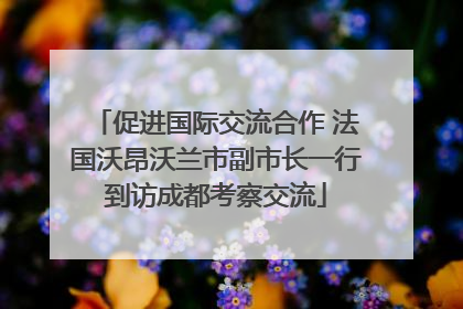 促进国际交流合作 法国沃昂沃兰市副市长一行到访成都考察交流