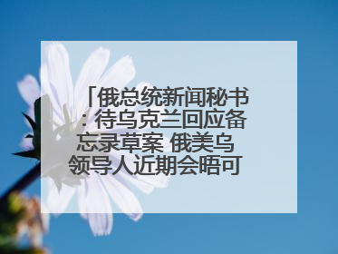 俄总统新闻秘书：待乌克兰回应备忘录草案 俄美乌领导人近期会晤可能性小