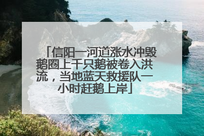 信阳一河道涨水冲毁鹅圈上千只鹅被卷入洪流，当地蓝天救援队一小时赶鹅上岸