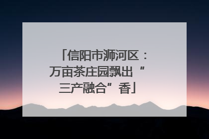 信阳市浉河区：万亩茶庄园飘出“三产融合”香