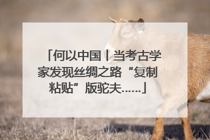 何以中国丨当考古学家发现丝绸之路“复制粘贴”版驼夫……