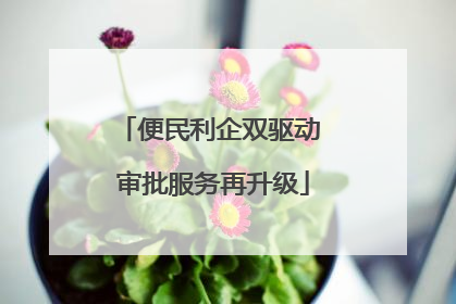 便民利企双驱动 审批服务再升级
