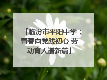 临汾市平阳中学：青春向党践初心 劳动育人谱新篇