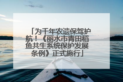为千年农遗保驾护航！《丽水市青田稻鱼共生系统保护发展条例》正式施行