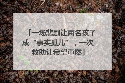 一场悲剧让两名孩子成“事实孤儿”，一次救助让希望重燃
