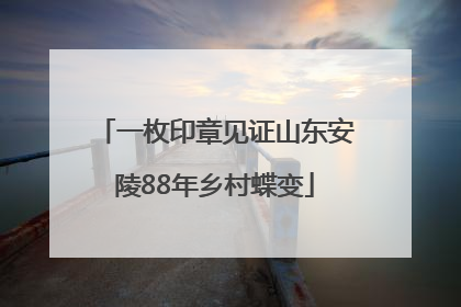 一枚印章见证山东安陵88年乡村蝶变