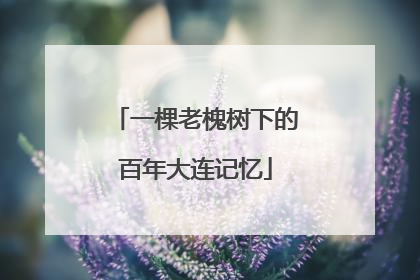 一棵老槐树下的百年大连记忆