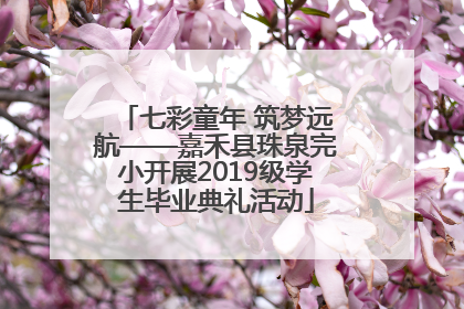 七彩童年 筑梦远航——嘉禾县珠泉完小开展2019级学生毕业典礼活动