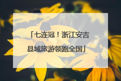七连冠！浙江安吉县域旅游领跑全国