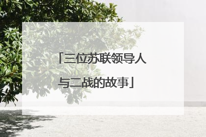 三位苏联领导人与二战的故事