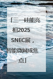 三一硅能亮相2025 SNEC展，智能微网成焦点