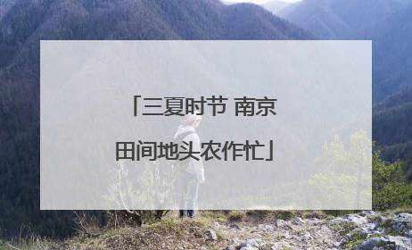 三夏时节 南京田间地头农作忙
