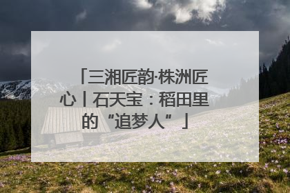 三湘匠韵·株洲匠心丨石天宝：稻田里的“追梦人”