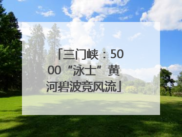 三门峡：5000“泳士”黄河碧波竞风流